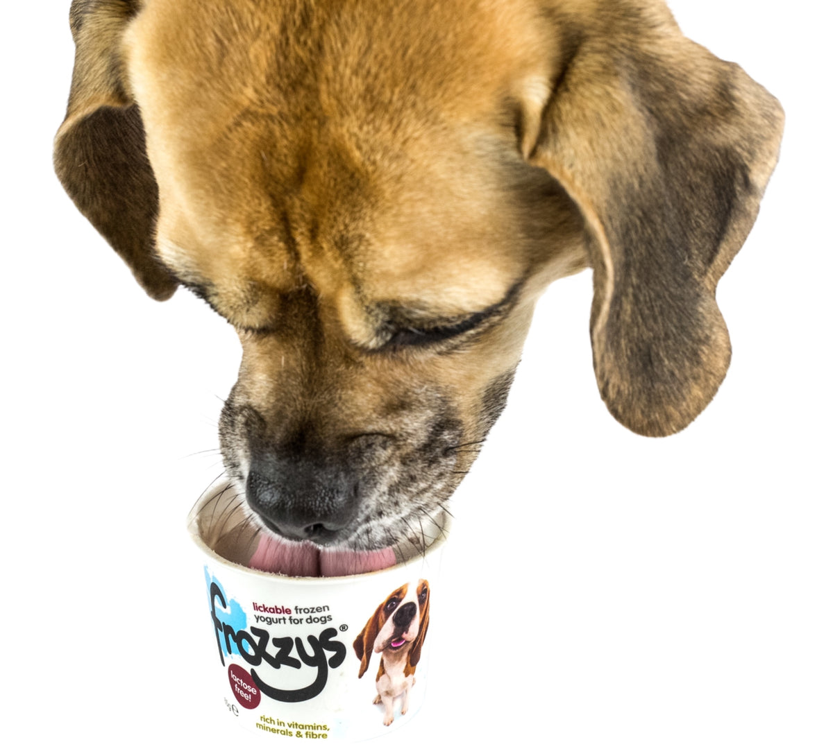 Frozzys hotsell dog yoghurt